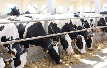 Высокие стандарты качества выпускаемой продукции. Гарантия от производителя.